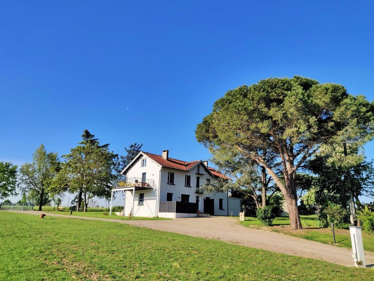Le Cottage Nature Primeur Sauna Gaillac Entre Albi-Toulouse & Les Cottages Du Tarn Brens  ภายนอก รูปภาพ